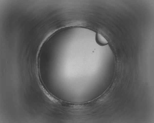 X0000056310800200509021535