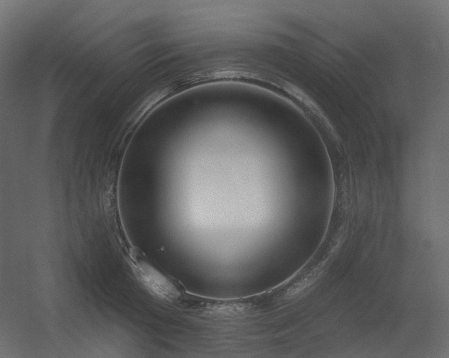 X0000056310801200509021535