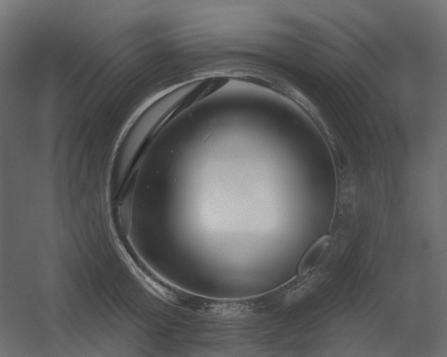 X0000056310803200509021535