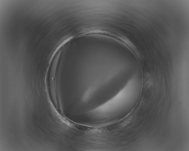 X0000056310806200509021535