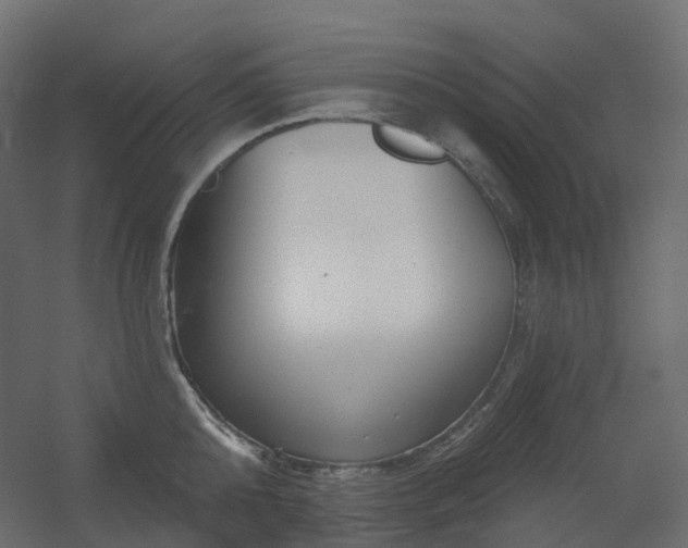 X0000056310808200509021535