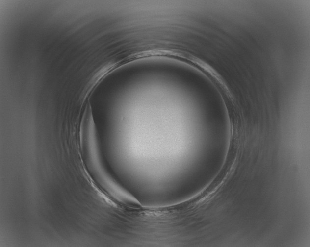 X0000056310809200509021535
