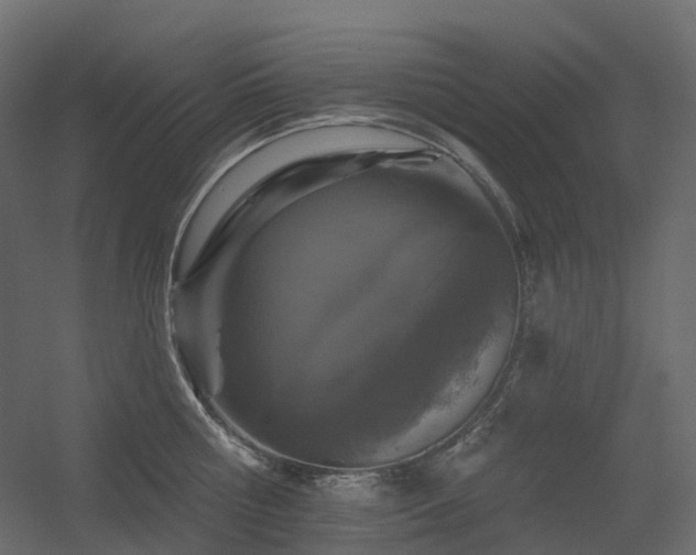 X0000056310810200509021535