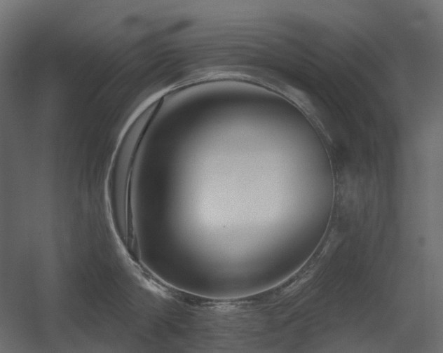 X0000056310814200509021535