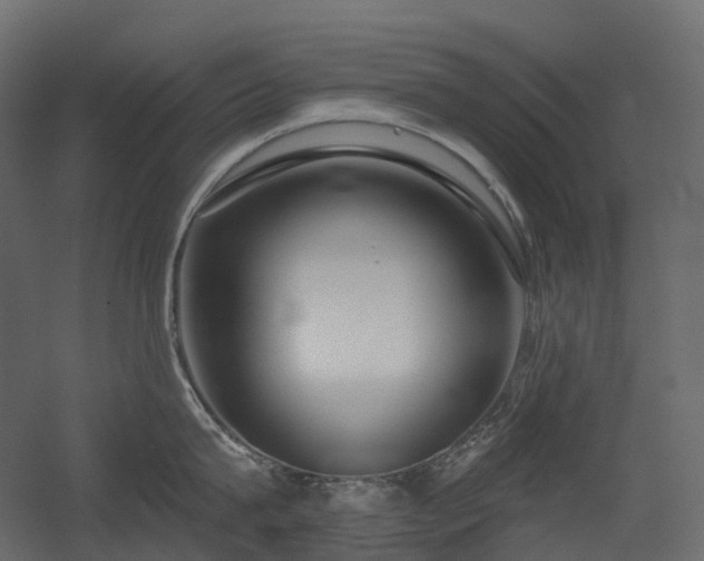 X0000056310815200509021535
