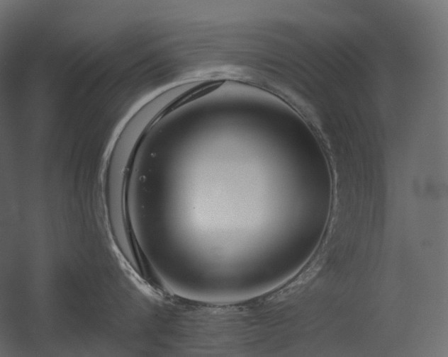 X0000056310816200509021535