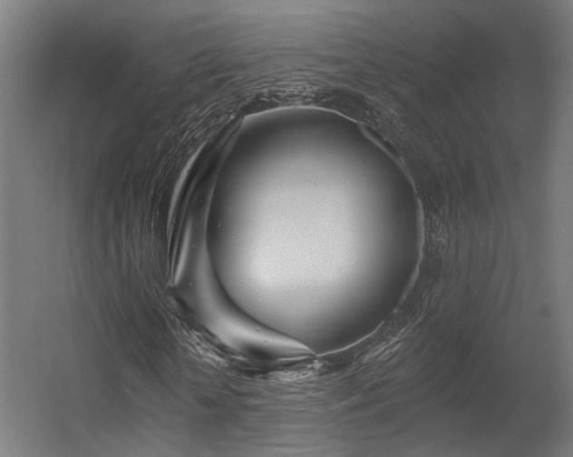 X0000056310818200509021534