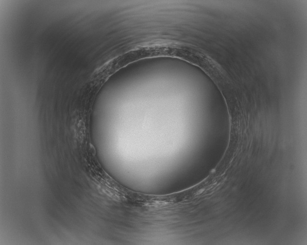 X0000056310821200509021534