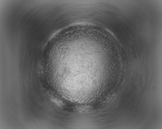 X0000056310823200509021534