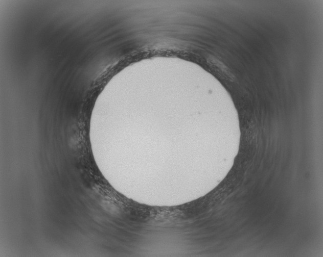 X0000056310824200509021534