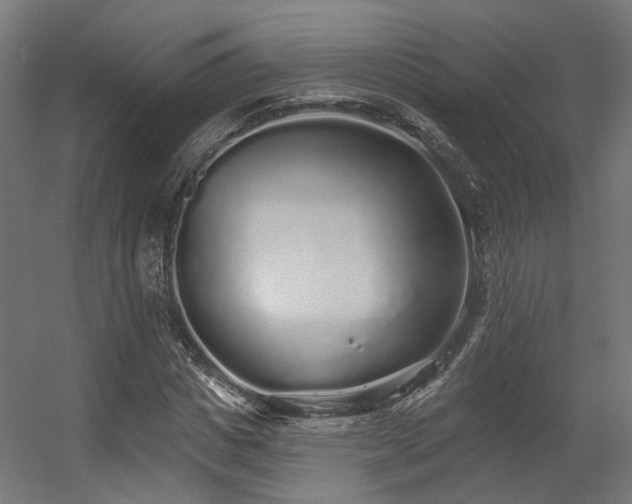 X0000056310825200509021534