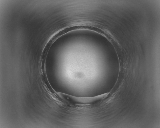 X0000056310830200509021535