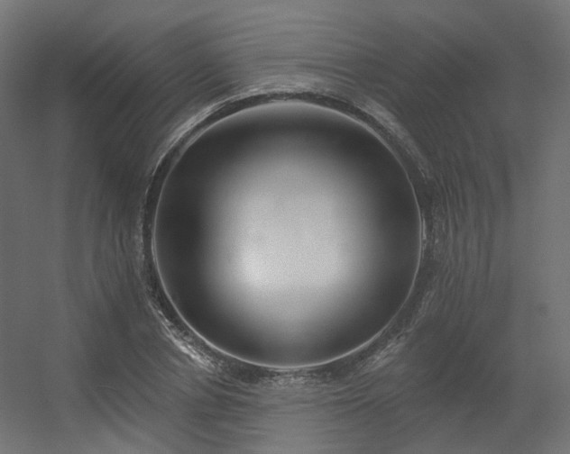 X0000056310834200509021535