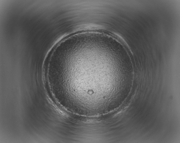 X0000056310835200509021535