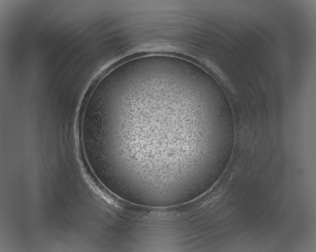 X0000056310840200509021535