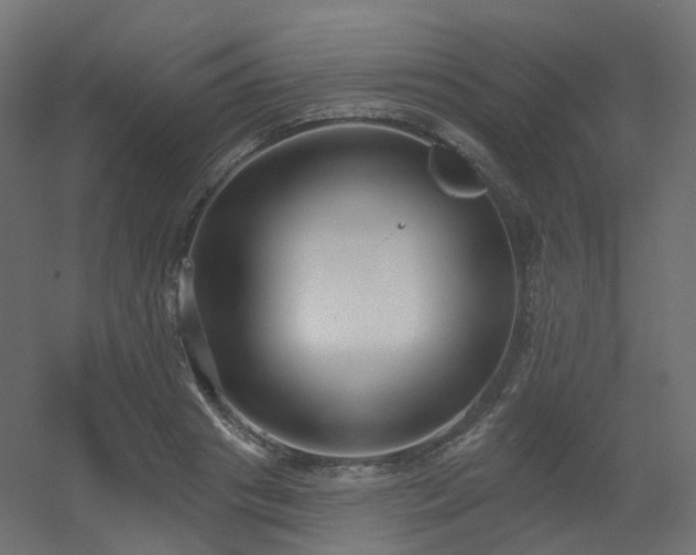 X0000056310841200509021535
