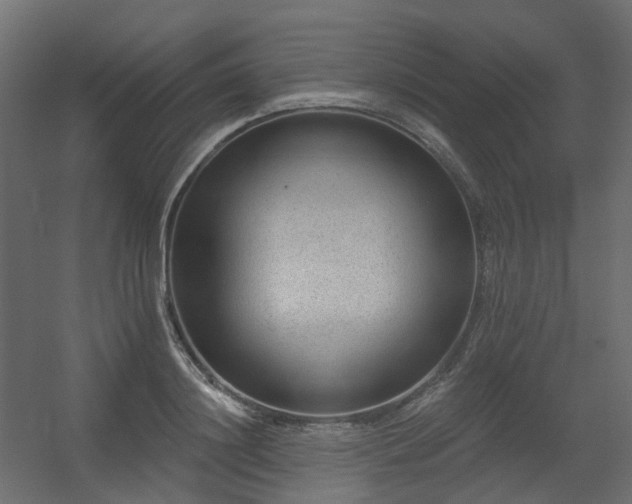 X0000056310844200509021535