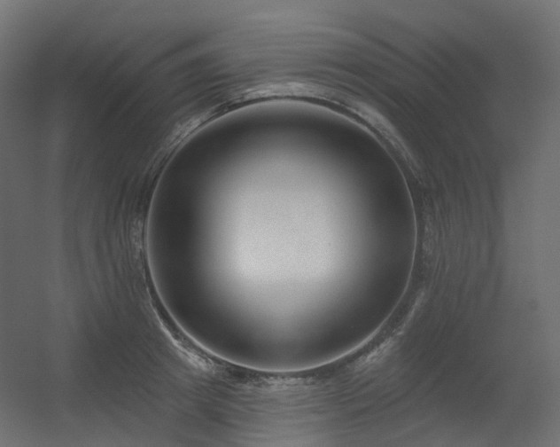 X0000056310849200509021535