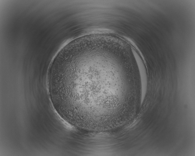 X0000056310851200509021535