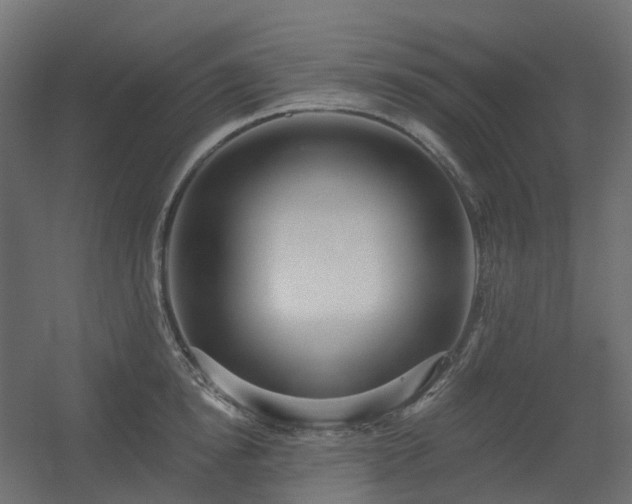 X0000056310854200509021535