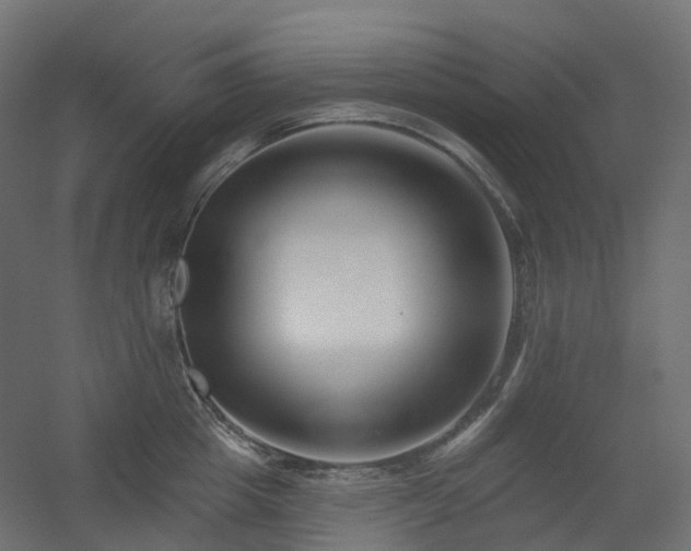 X0000056310857200509021535
