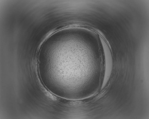 X0000056310859200509021535