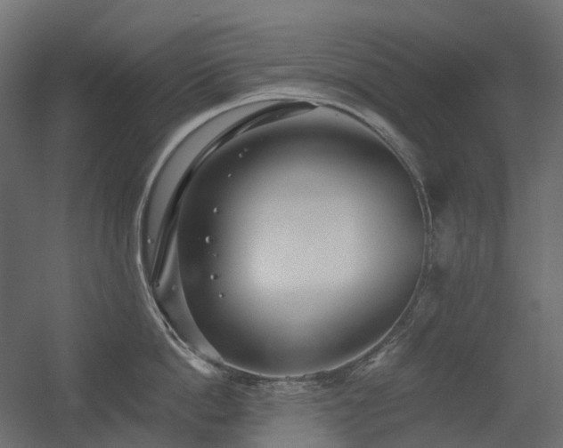 X0000056310862200509021535