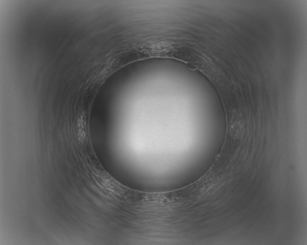 X0000056310866200509021534