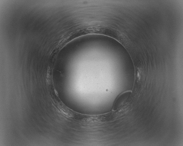 X0000056310867200509021534