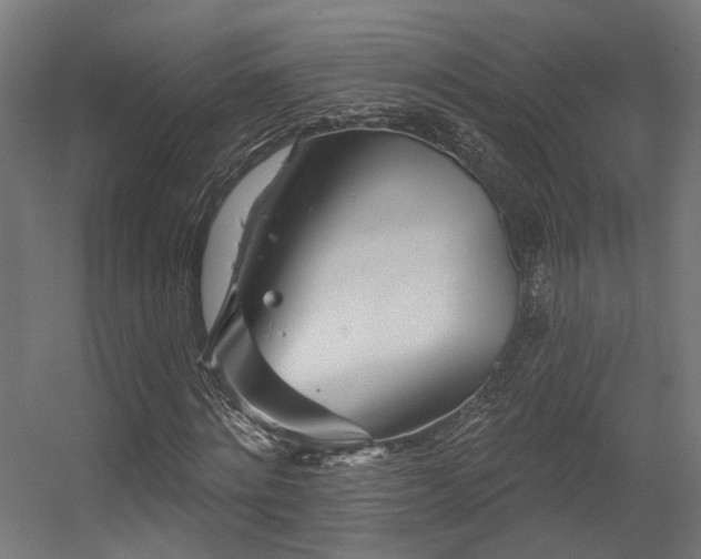 X0000056310868200509021534