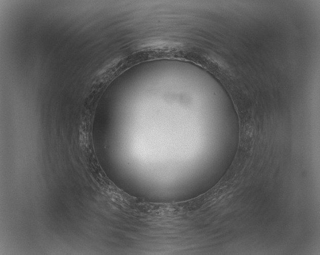 X0000056310869200509021534