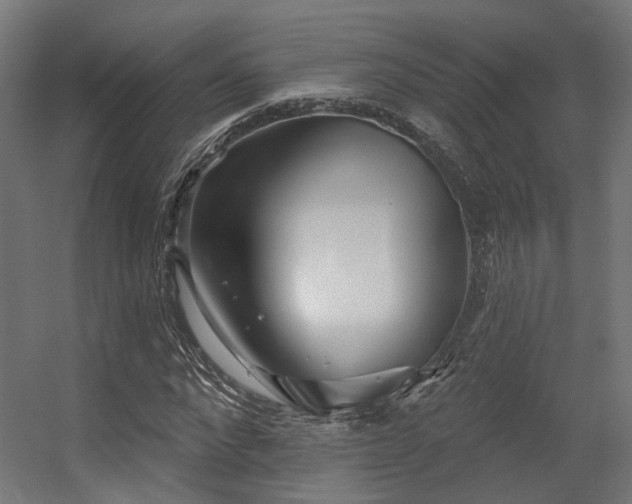 X0000056310872200509021534