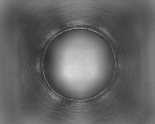X0000056310873200509021534