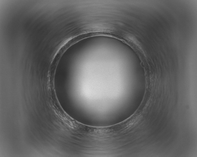 X0000056310875200509021534