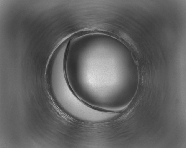 X0000056310876200509021534