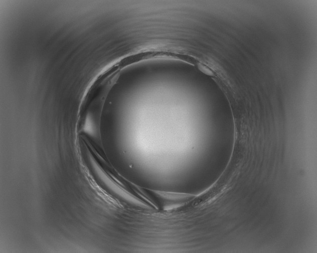 X0000056310880200509021534