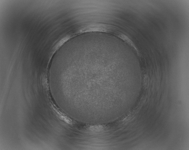 X0000056310882200509021534