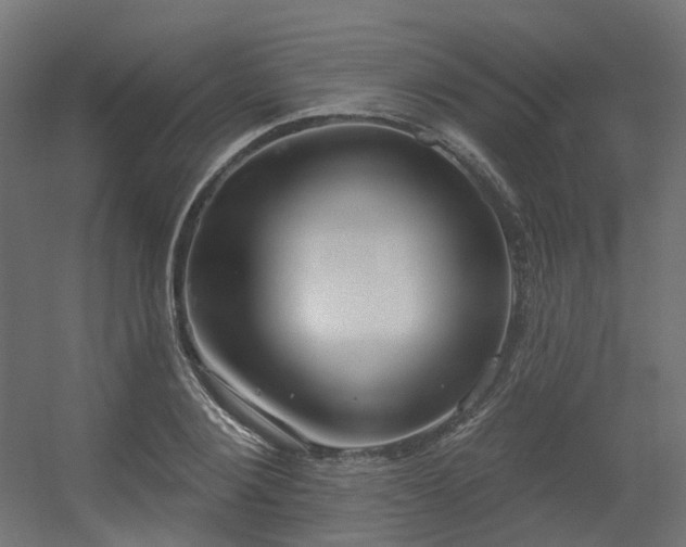 X0000056310884200509021534