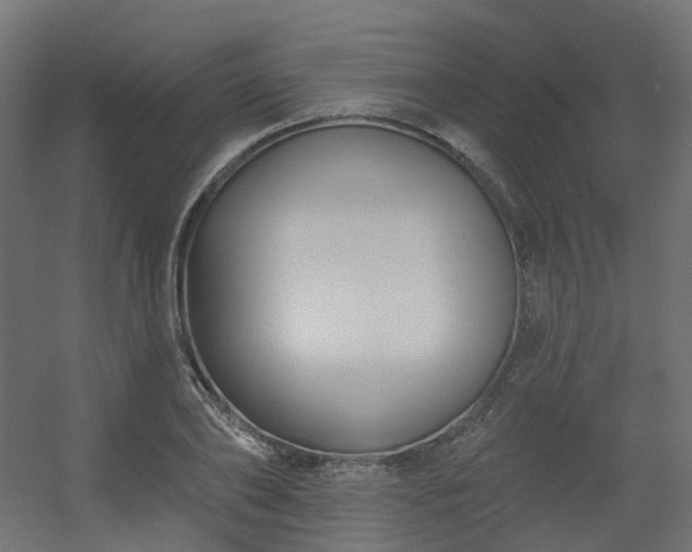X0000056310886200509021534
