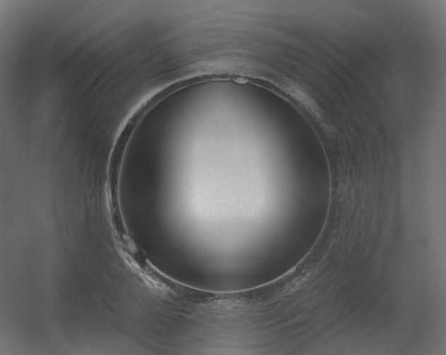 X0000056310888200509021534