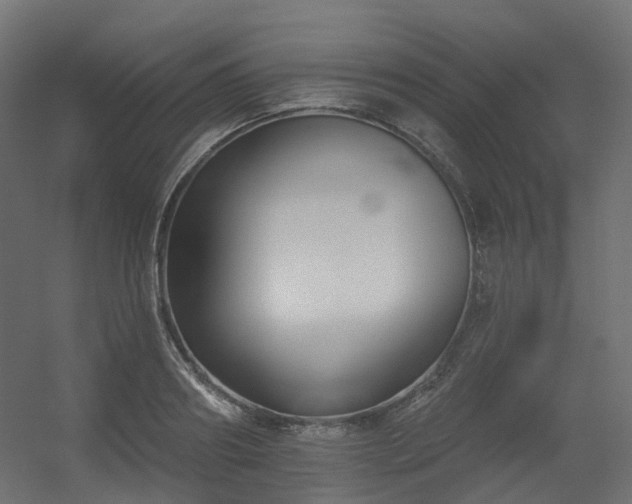 X0000056310890200509021534