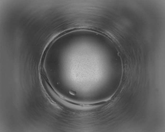 X0000056310891200509021534