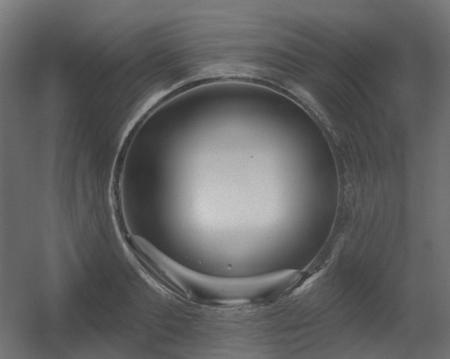 X0000056310893200509021534