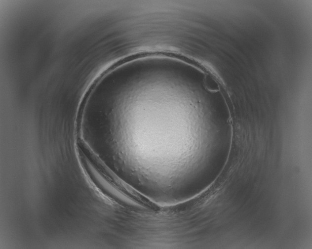 X0000056310895200509021534