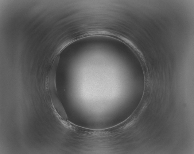 X0000056310905200509021534