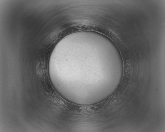 X0000056310918200509021533