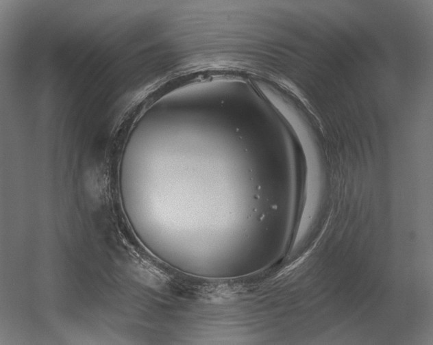 X0000056310922200509021533