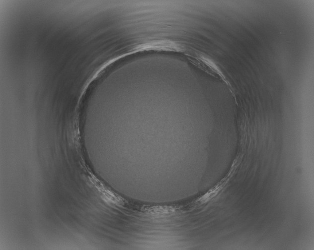 X0000056310923200509021533
