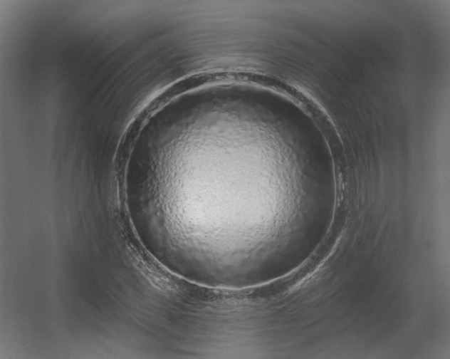 X0000056310925200509021533