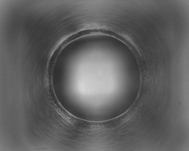 X0000056310927200509021533